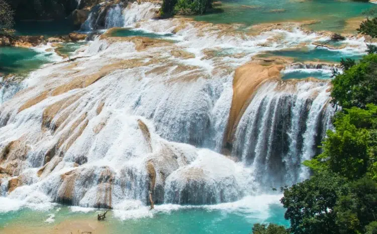  CASCADAS DE AGUA AZUL